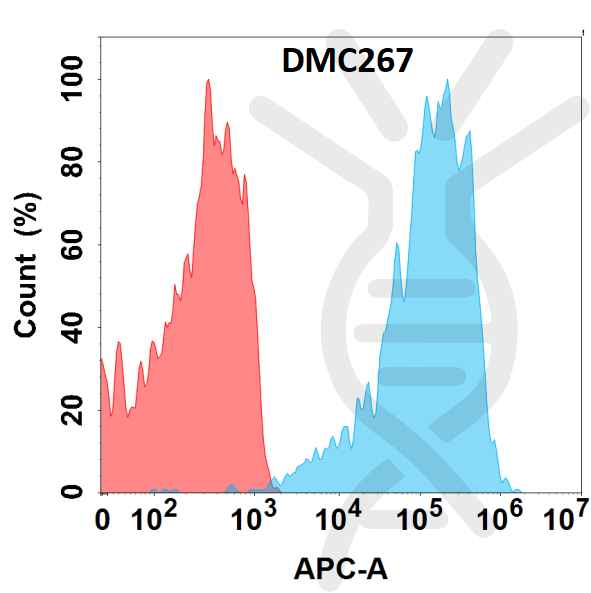 Anti-TNFSF11 antibody(DMC267), IgG1 Chimeric mAb