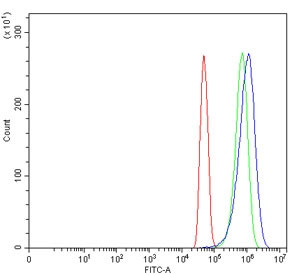 Anti-PTGIS / CYP8A1