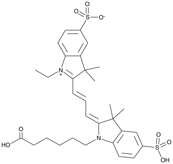 Cy3