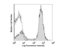 Anti-CD16/32 Phycoerythrin Conjugated, clone 93