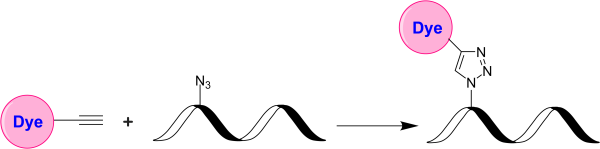 XFD546 alkyne