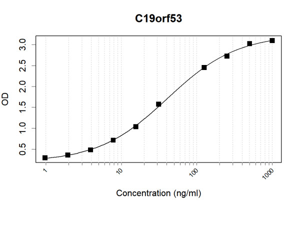 Anti-Human C19orf53 Antibody Pair