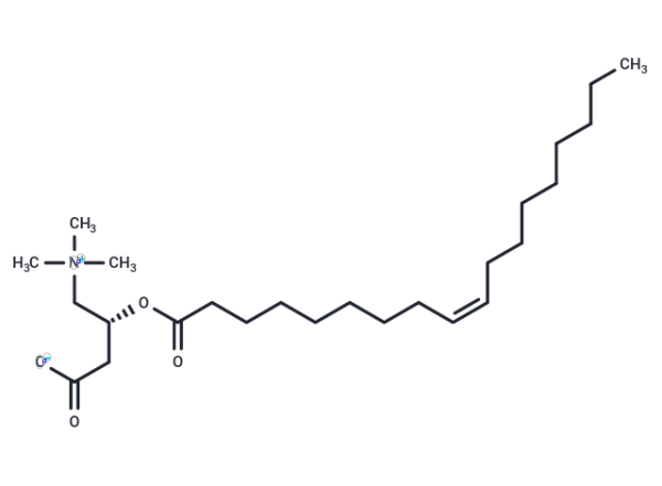 Oleoylcarnitine