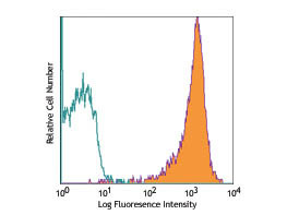 Anti-CD69 (Armenian Hamster) Phycoerythrin Conjugated, clone H1.2F3