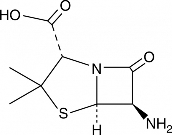 6-Aminopenicillanic Acid
