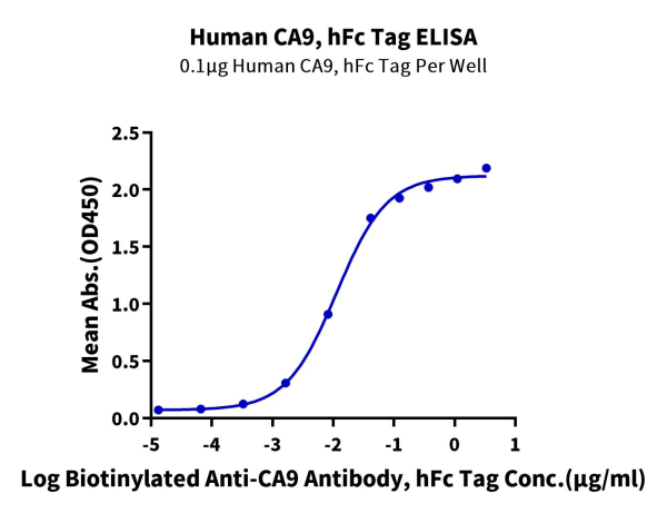 Human CA9/Carbonic Anhydrase IX Protein
