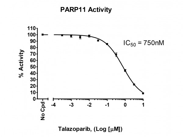 Chemiluminescent PARP11 Assay kit