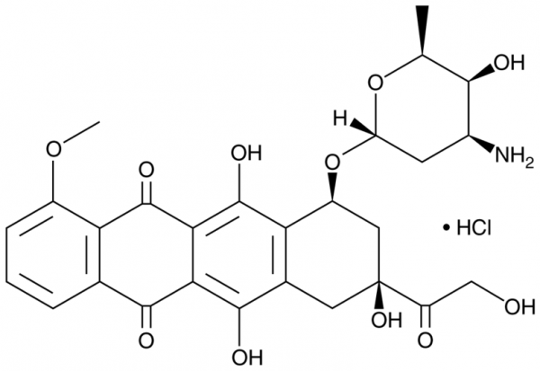 Doxorubicin (hydrochloride)