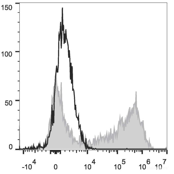 Anti-Mouse IL-2 (PE Conjugated)[JES6-5H4], clone JES6-5H4