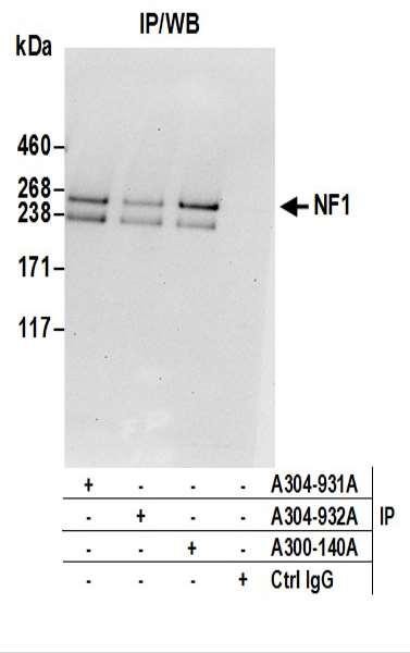 Anti-NF1