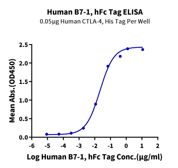 Human B7-1/CD80 Protein