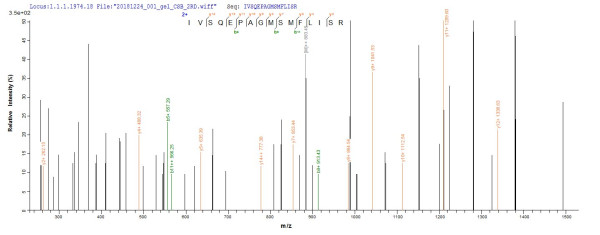 Desmoglein-3 (Dsg3), partial, mouse, recombinant
