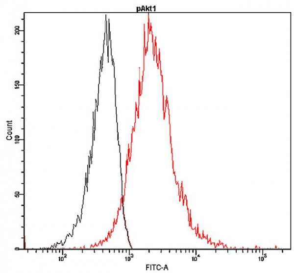 Anti-phospho-Akt1 (Ser473) (FITC), clone D17-G