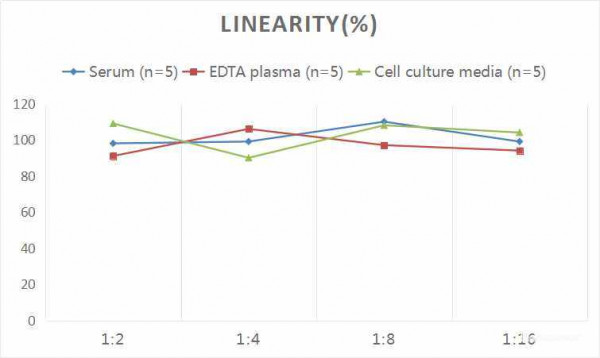 Rat PGF (Placental Growth Factor) CLIA Kit