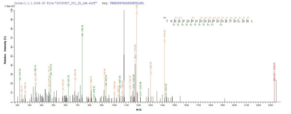 Protein B5 (PS/HR), partial, Vaccinia virus, recombinant