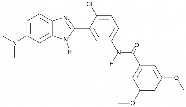 HhAntag