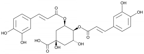 4,5-Dicaffeoylquinic Acid
