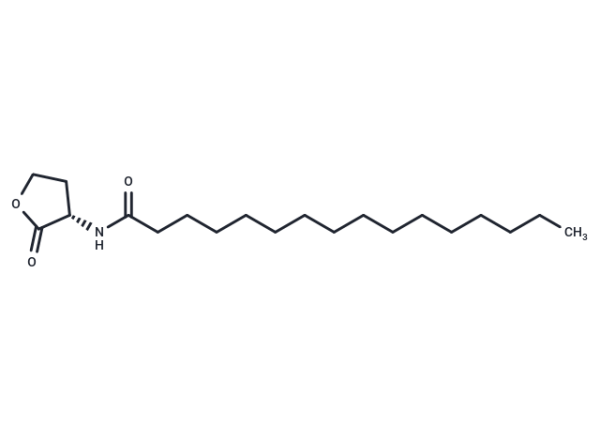N-hexadecanoyl-L-Homoserine lactone