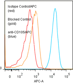 Anti-CD105 (human), clone SN6 (APC)