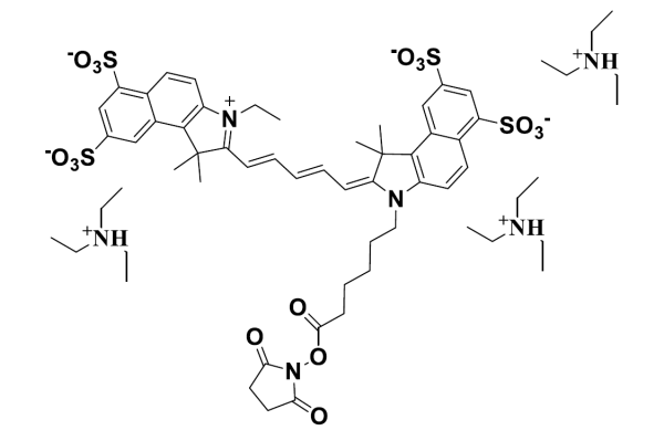 Sulfo-Cyanine 5.5 NHS ester [equivalent to Cy5.5(R) NHS ester]