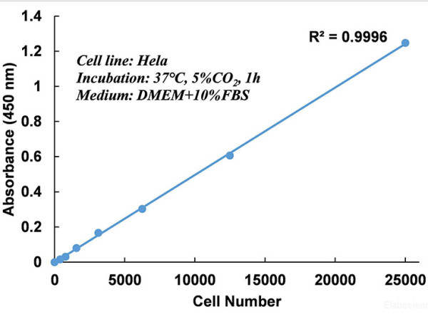 Enhanced Cell Counting Kit 8 (WST-8 / CCK8)
