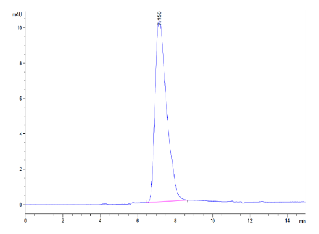 CX3CL1/Fractalkine[Biotin], His &amp; Avi, Mouse