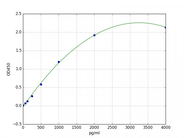 Human Angiopoietin-1 / ANG1 ELISA Kit