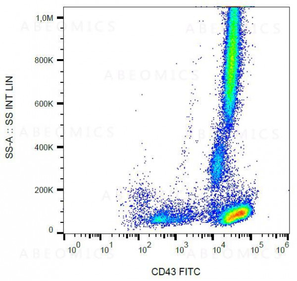 Anti-CD43 / Leukosialin Monoclonal Antibody (Clone:MEM-59)-FITC Conjugated