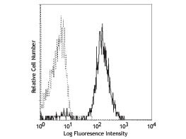 Anti-CD86 Phycoerythrin Conjugated, clone IT2.2