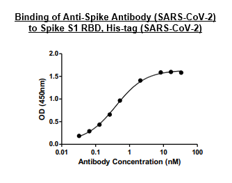 Anti-Spike S1 (SARS-CoV-2)