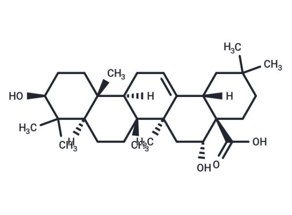 Echinocystic acid