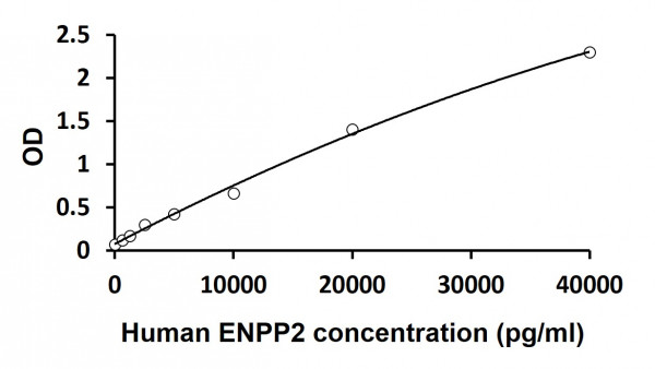Human ENPP2 ELISA Kit