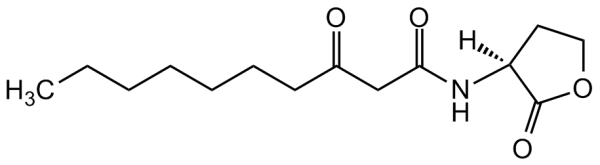 N-(3-Oxodecanoyl)-L-homoserine lactone