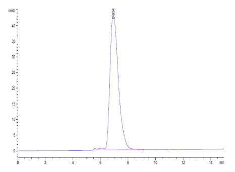 CEACAM-6/CD66c, His &amp; Avi, Human