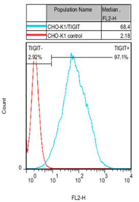CHO-K1/TIGIT Stable Cell Line
