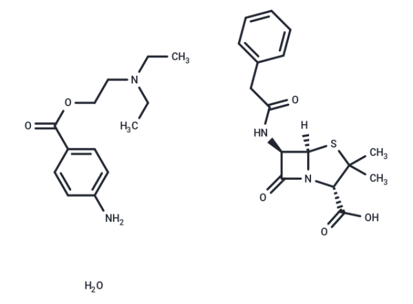 Penicillin G Procaine