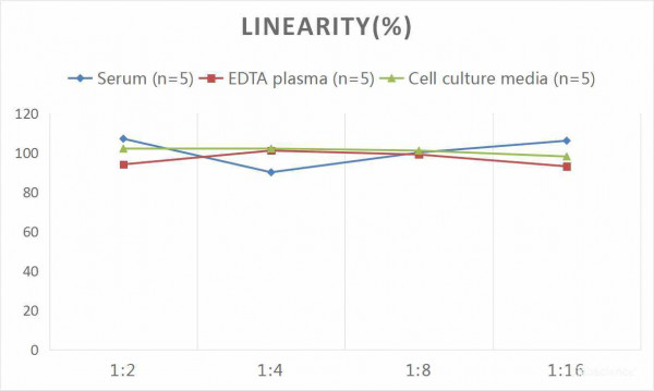 Human COL7 (Collagen Type VII) CLIA Kit