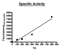 PADI-1, human recombinant protein, FLAG-tag