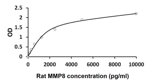 Rat MMP8 ELISA Kit