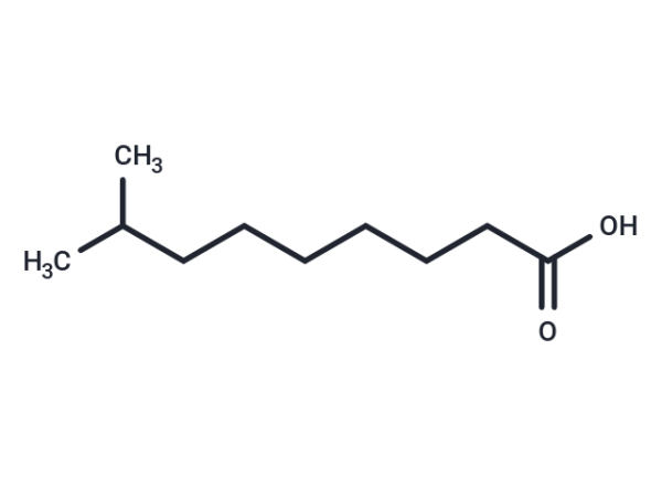 8-methyl Nonanoic Acid