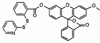 WSP-1