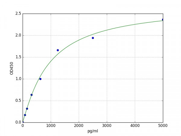 Human PAH / Phenylalanine Hydroxylase ELISA Kit