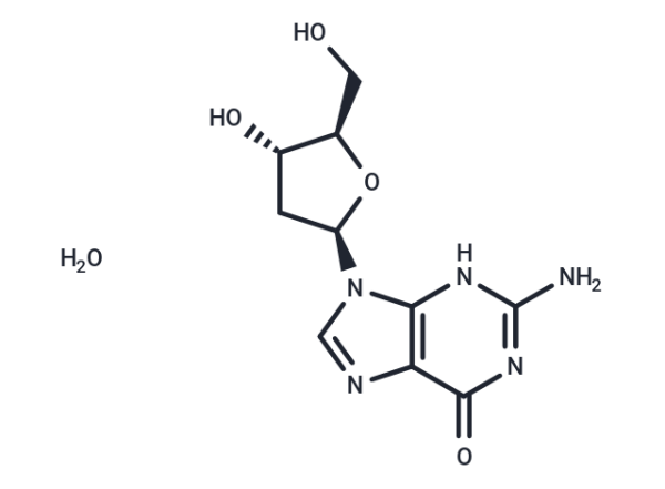 2&#039;-Deoxyguanosine monohydrate