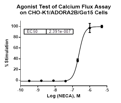 CHO-K1/ADORA2B/Galpha15 Stable Cell Line