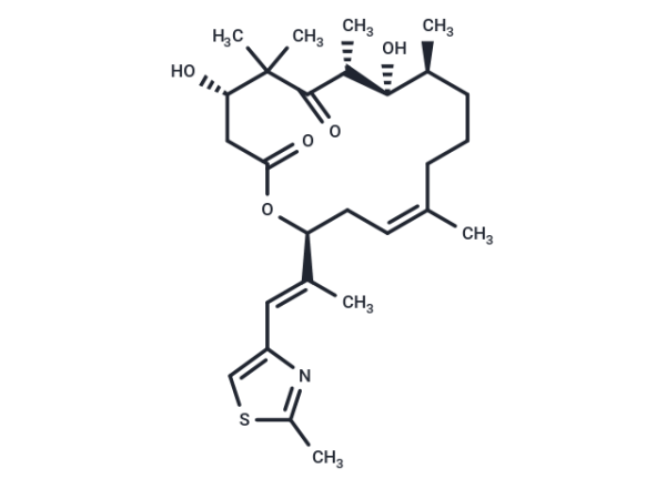 Epothilone D
