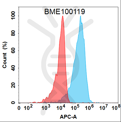 Anti-NRP1(vesencumab biosimilar) mAb