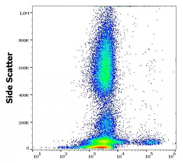 Anti-CD22, clone MEM-01
