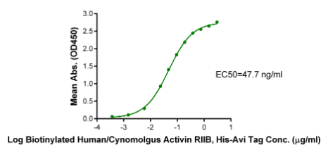 Activin RIIB/ACVR2B[Biotin], His &amp; Avi, Human/Cynomolgus