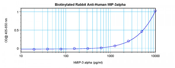 Anti-CCL20 (Biotin)