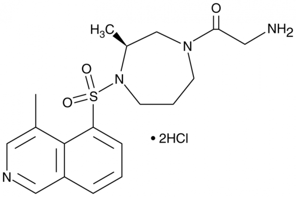 (S)-Glycyl-H-1152 (hydrochloride)